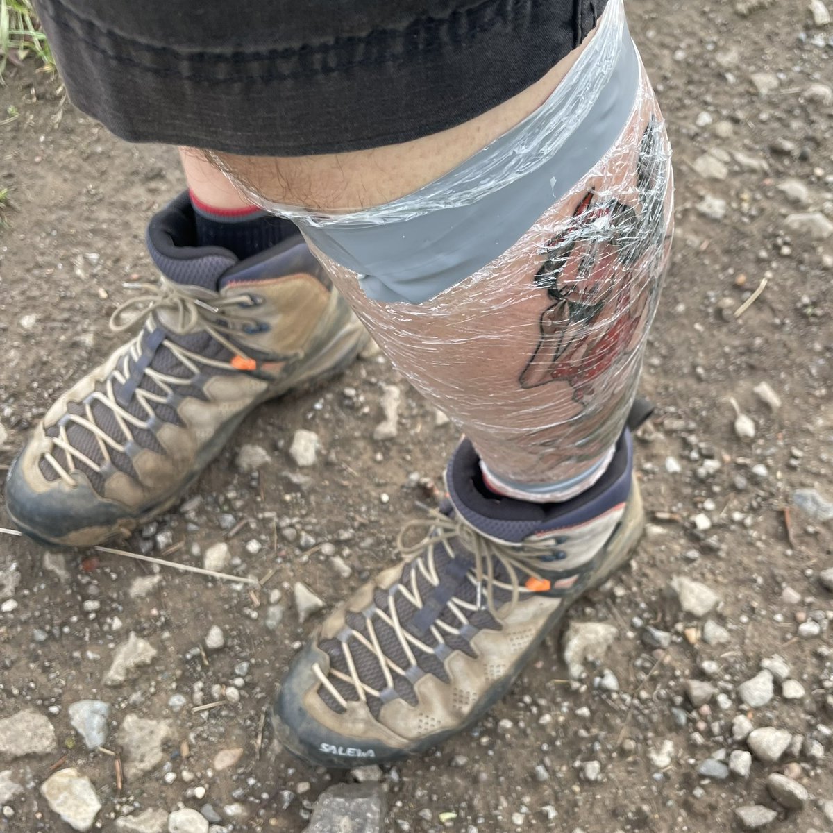 Laughing_Gravy's tweet image. #ontrend