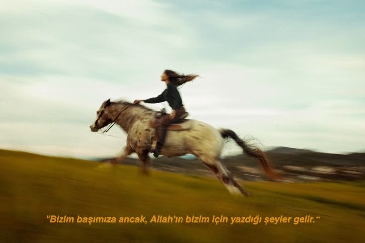cygnusolorr's tweet photo. Her şey istediğimiz gibi olduğu sürece huzurlu hissediyorsak bu huzur değil, “kontrol” olabilir. Belirsizliklerin içindeyken de Allah’a sımsıkı tutunuyor olmanın verdiği güven, huzur olabilir. https://t.co/KY3RJdl5Xj