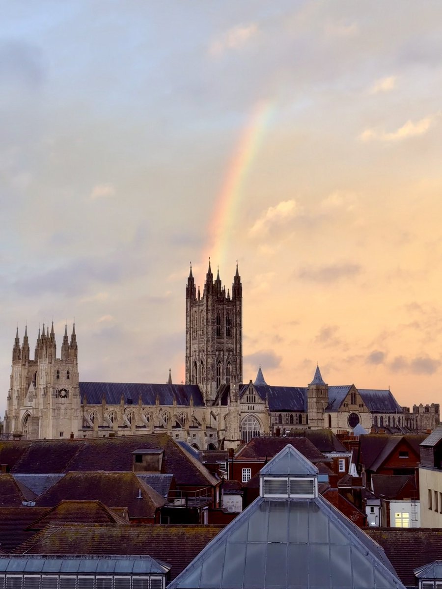 Tim collins tweet media