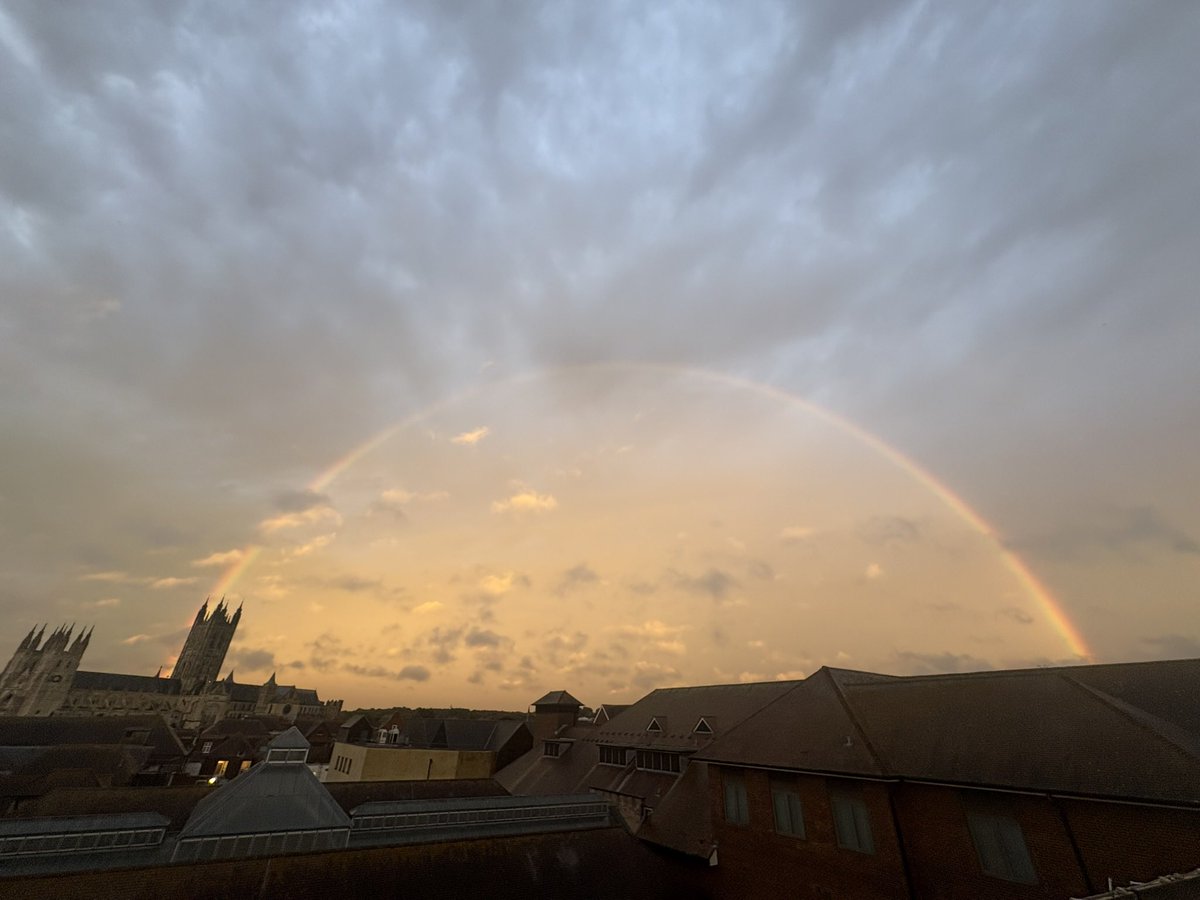 Tim collins tweet media