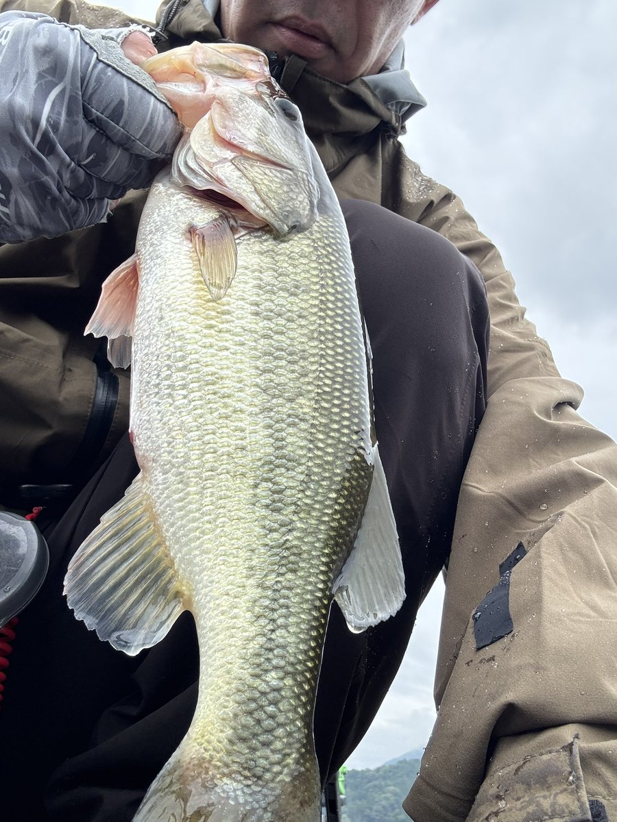 今日は雨パワーで釣れ釣れだ、ひゃっほー！なんて思ってたら全然ダメでした。#相模湖