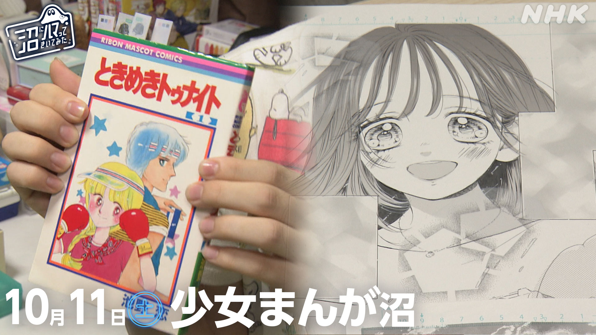 ときめきトゥナイト - Search / X