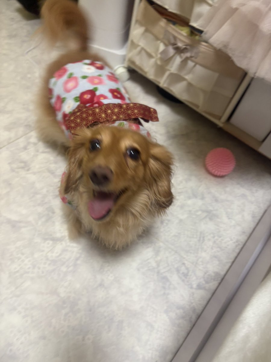 えるちん tweet media