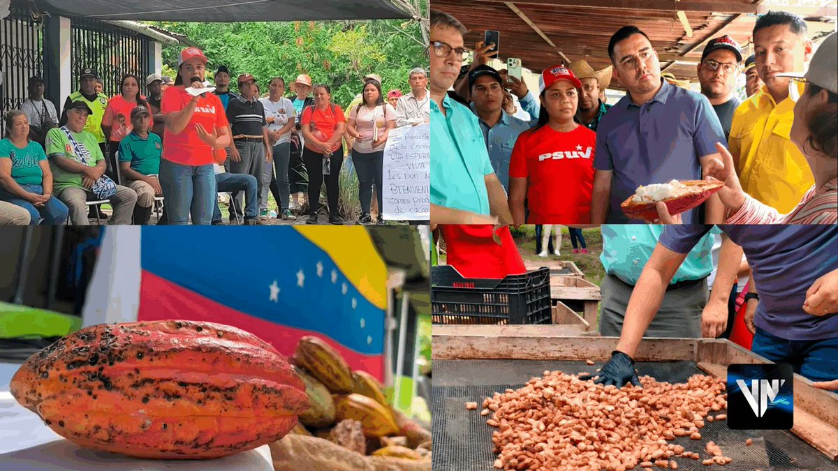 CelesteV08's tweet image. El estado #Mérida ha dado un paso crucial en la #diversificación #económica del #país con el lanzamiento del «Plan Rector del Cacao Mérida 2025-2029».

La iniciativa fue presentada por el Gobernador de la entidad, Arnaldo Sánchez, junto a la alcaldesa, Yanetzy Urbina, y contó con…