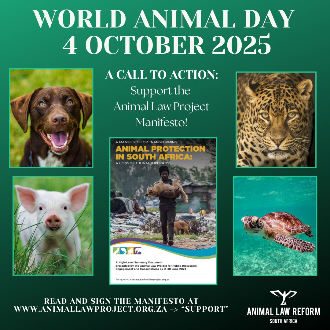On #WorldAnimalDay use your voice for animals by signing the Animal Law Project's Manifesto [animallawproject.org.za/support/] which states:
🐾 Animals are sentient beings
🐘 Animals have intrinsic value as individuals
⚖ Protecting animals &amp; their interests is a constitutional imperative