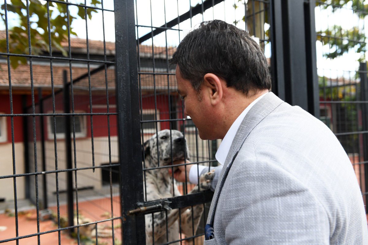 erkanecz's tweet photo. Bugün 4 Ekim.
Dünyada “Hayvanları Koruma Günü” olarak biliniyor ama bizim için bu, Hayvan Hakları Günü de aynı zamanda. Çünkü onları gerçekten korumak, haklarını gözetmekle başlar.

Evimizde Şero ve Duman; Belediyede ise barınaktan sahiplendiğimiz Mars ve Fıstık var. Onlar ailemizin bir parçası.

Sahipsiz Hayvanlar Doğal Yaşam ve Tedavi Merkezi’mizde son aylarda büyük değişimler yaptık. Kediler için Hospitilizasyon Alanı ve Ameliyathane hizmete açıldı, haftalık kısırlaştırma kapasitemizi artırdık. Mamamatik ve suluk sayısını artırdık, gölgelikler ekledik ve yazın hayvanlara zarar veren otları temizledik. En önemli adım ise 75 bin metrekarelik yeni Doğal Yaşam Alanı. Mevcut alanla birlikte artık binlerce can, özgürce dolaşabileceği, güvenli ve doğal bir yaşam alanına kavuşacak.

Bugün kreşlerimizde eğitim gören çocuklarımız ve Albam ile Obam katılımcılarımızla birlikte Sahipsiz Hayvanlar Doğal Yaşam Merkezimizde can dostlarımızı sevdik; onları sahiplendirme ve sahiplenmenin önemini hatırlattık.

Sokaklarımızda, parklarımızda, barınaklarımızda yaşayan her can bize emanet. Her adımımızda onların yaşamını daha güvenli ve mutlu kılmak için çalışıyoruz.

Osmangazi Kent Konseyi’ne, Çekirge Rotary’ye ve özveriyle çalışan bütün ekip arkadaşlarıma teşekkür ediyorum.