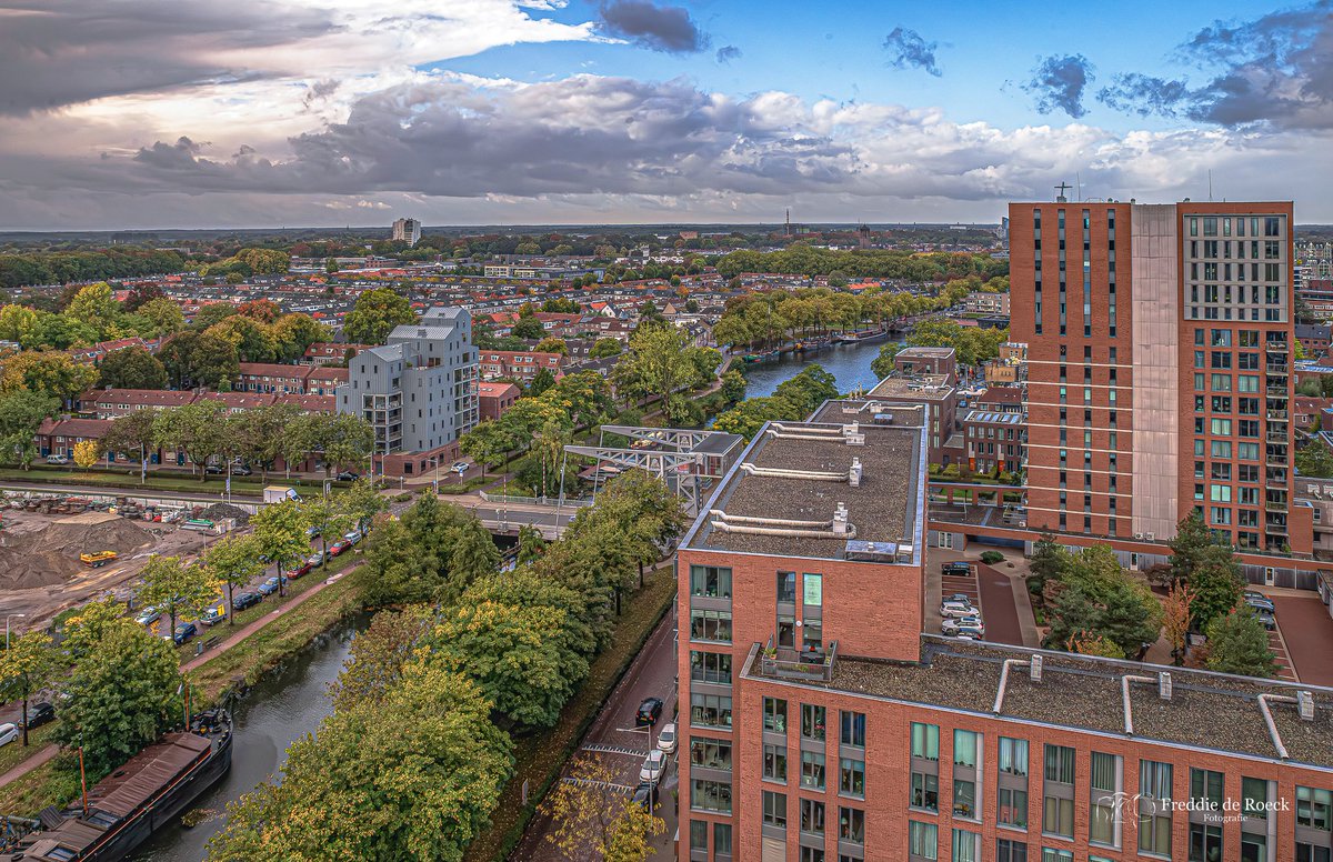 Freddie de Roeck tweet media