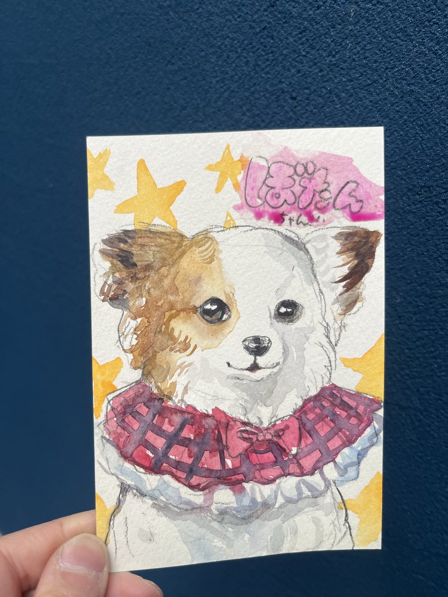 宮川あゆこ on X: 