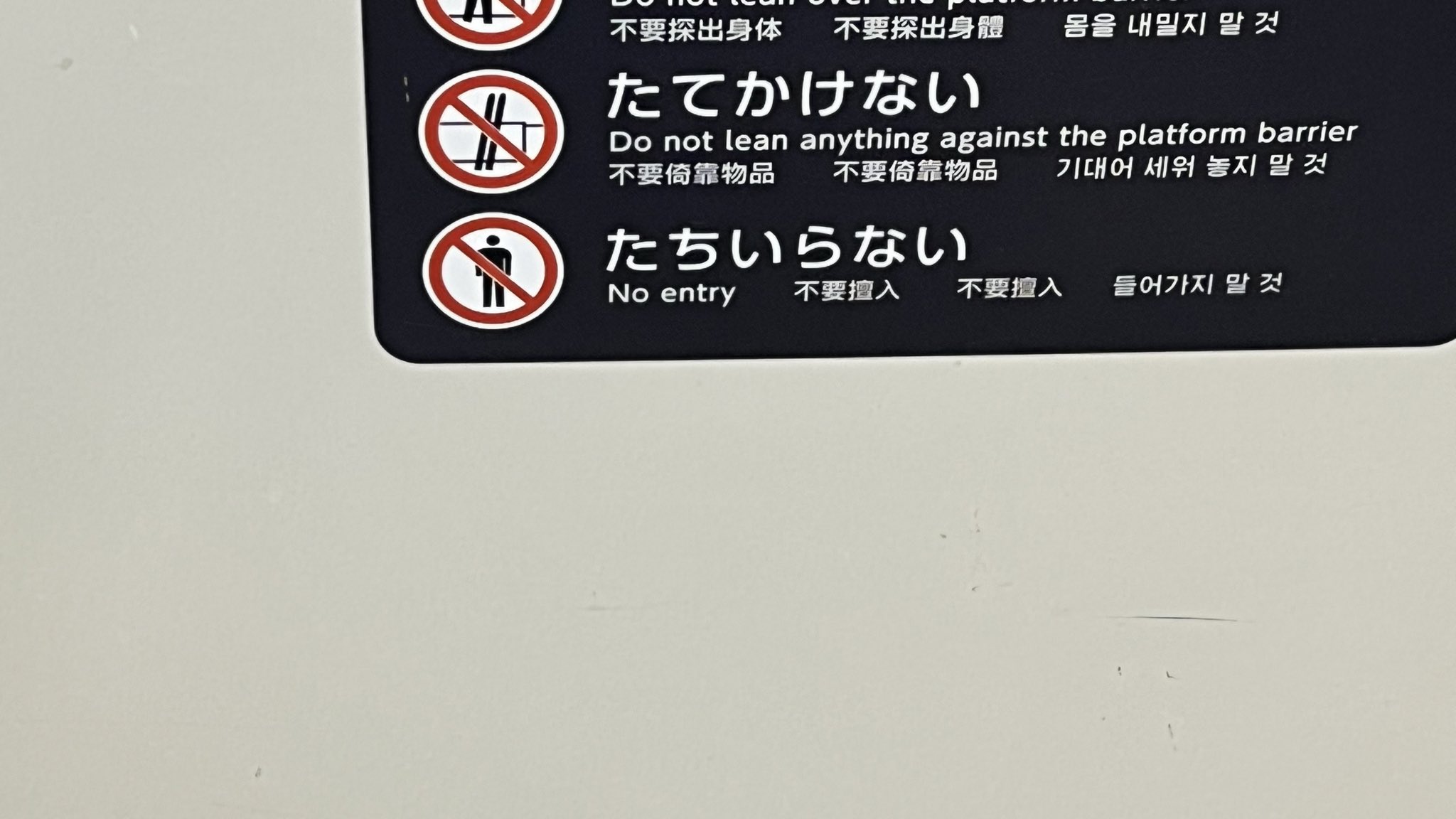 れんれんページ Amazon | MDN-MK-1 本藍染のれん 唐草 | むねかた(Munekata