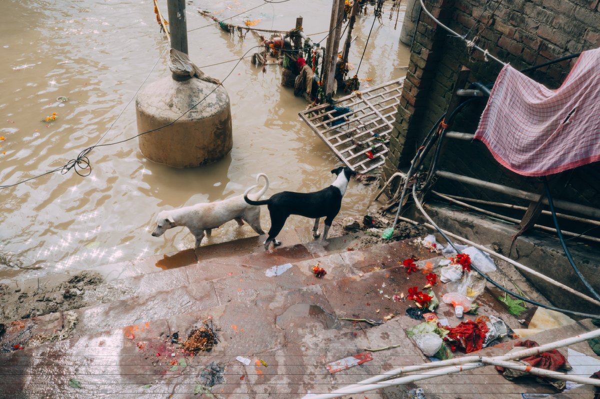 インド🇮🇳
ホテルから足を踏み出すと嫌悪感との戦いが始まる。インド人からの熱い視線、汚染された空気、鳴りやまない騒音、吐き気を催す下水の臭い、犬に噛まれれば狂犬病不可避。
正直、もう二度と行きたくない。
だが、なぜか「行かないとイケない」「撮らなきゃイケない」と思わせる修羅の国インド