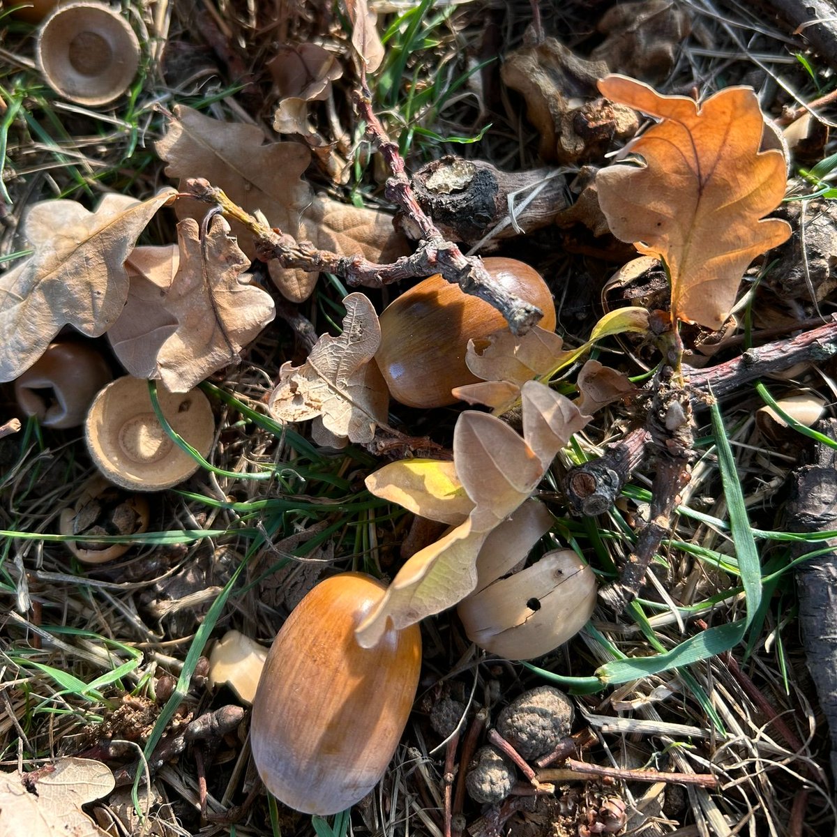 Katie Rose tweet media