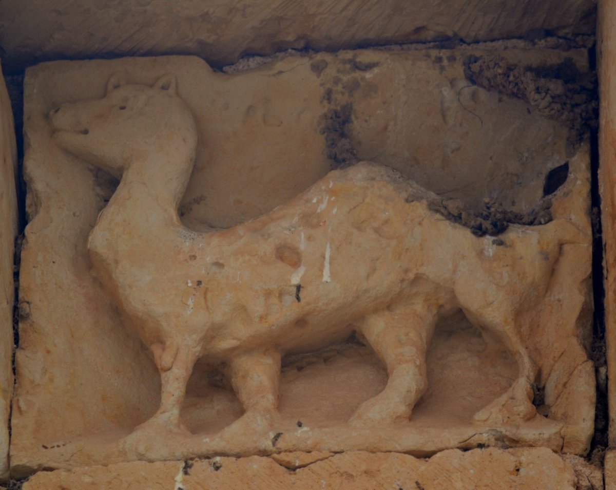 Hoy 4 de Octubre se celebra el Día Mundial de los Animales.
¿Cuál es el animal real (no fantástico) más curioso que os habéis encontrado en el románico? Yo, el dromedario.
Aquí el famoso 🐪 de San Baudelio de Berlanga, y otros tres segovianos (Requijada, Duratón y Sotillo).