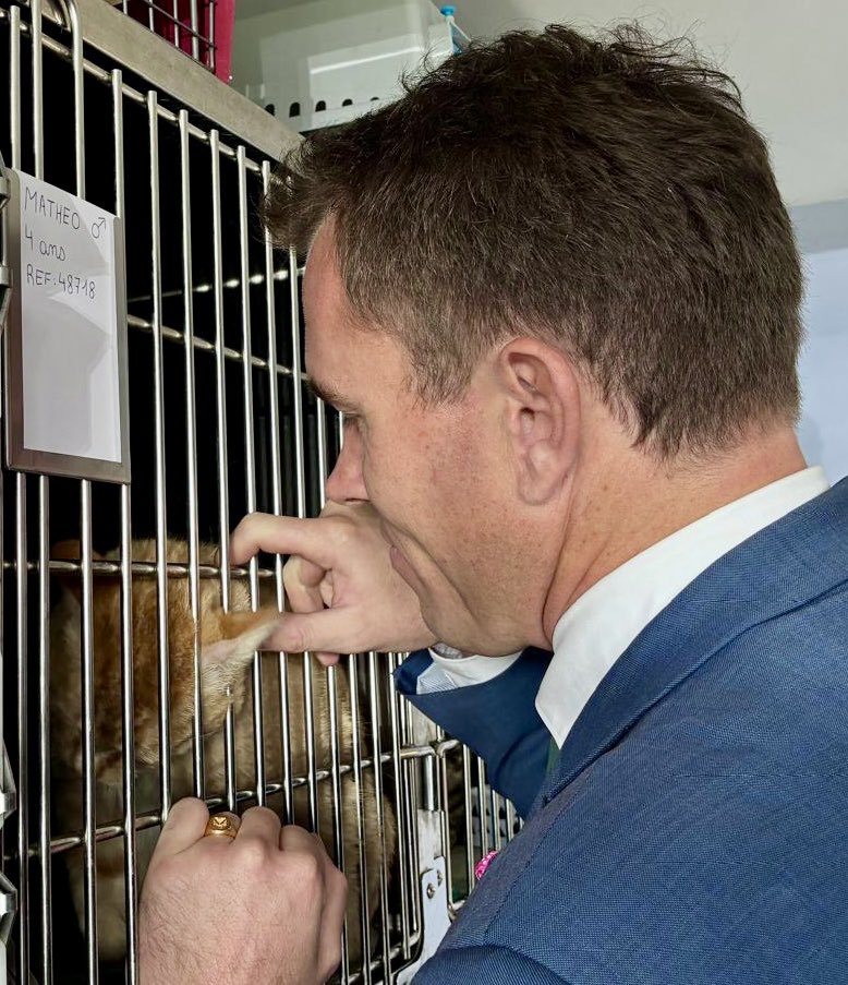 🇫🇷 🐶 🐈 La Ligue de Protection des Animaux du #Calaisis ouvre ses portes ce weekend. 

Venez rencontrer ses membres qui assurent le bien-être de nos amis à quatre pattes tout au long de l’année.

Peut-être vous laisserez-vous attendrir par l’un de leur pensionnaires !