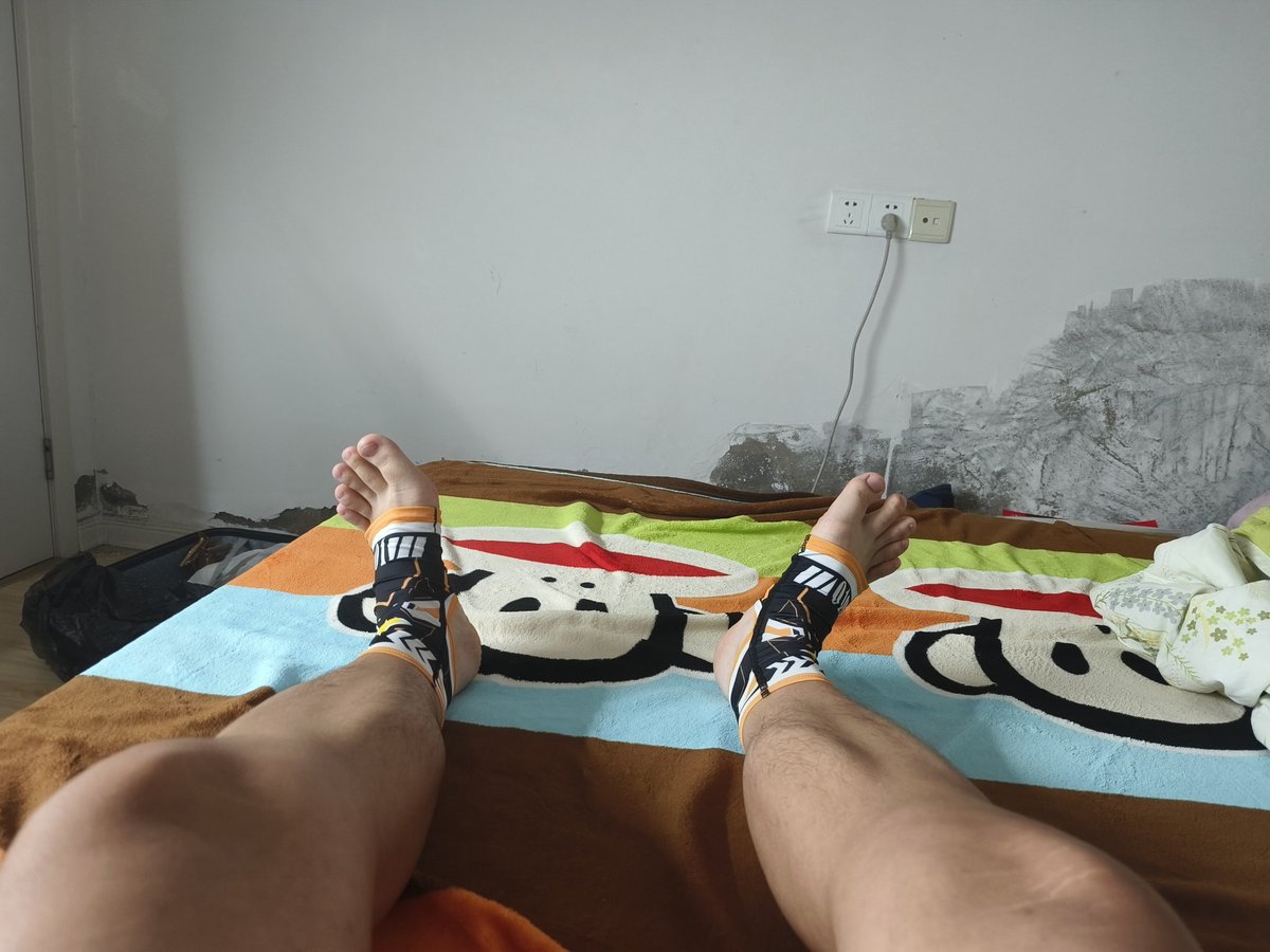真新镇小志 tweet media