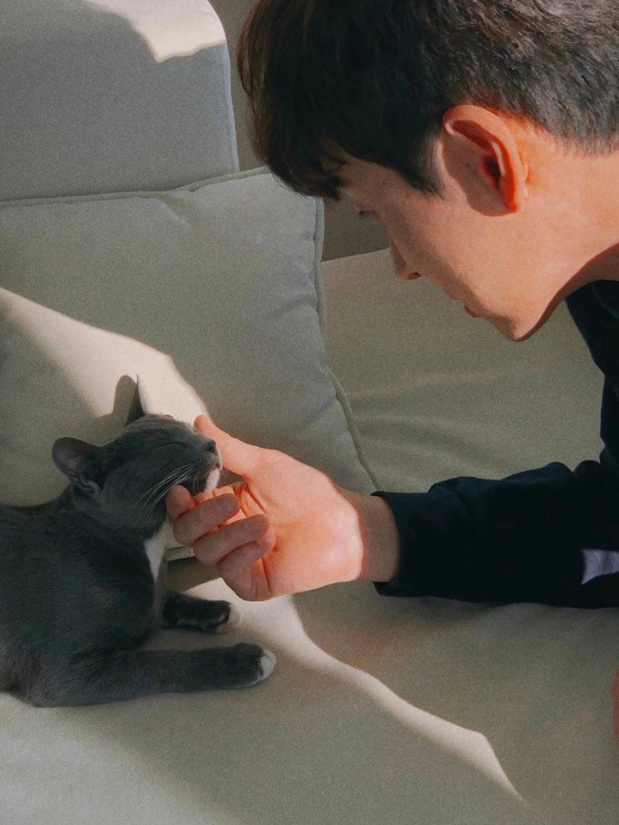 조승우 레전드 사진하면 단연코 이거임
얼굴.손.고양이.옷.배경.색상..그냥 모든게 다 아름다움