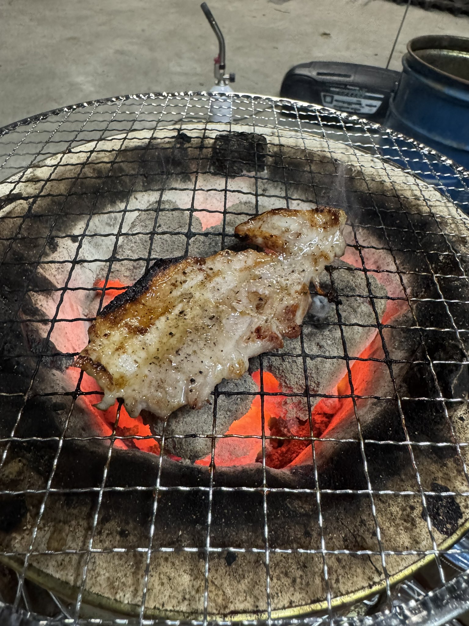 たろー コンバース CONVERSE オールスター (R) ボーダースター OX