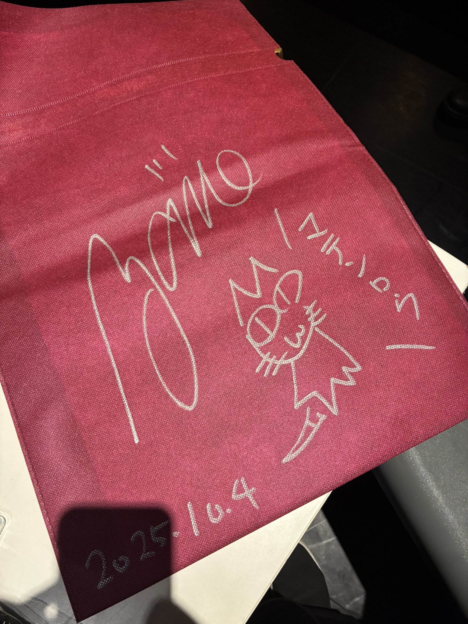 檸檬bot🦆 (@cagepapilio) / X