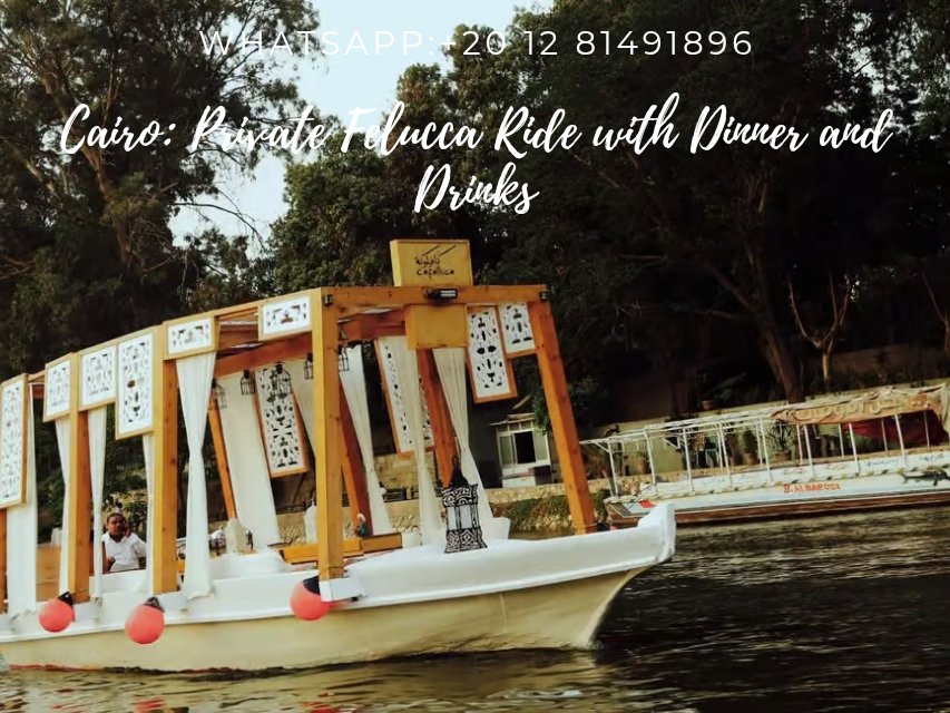 TourGreat149204's tweet photo. Cairo: Private Felucca Ride with Dinner and Drinks.
Enjoy a private 2-hour felucca dinner ride on the Nile River in Cairo. Savor a delicious meal and hot and cold soft drinks served by your personal waiter.
WhatsApp:+20 12 81491896
Email:info@tourgreat0.com https://t.co/BE9RxABWT9