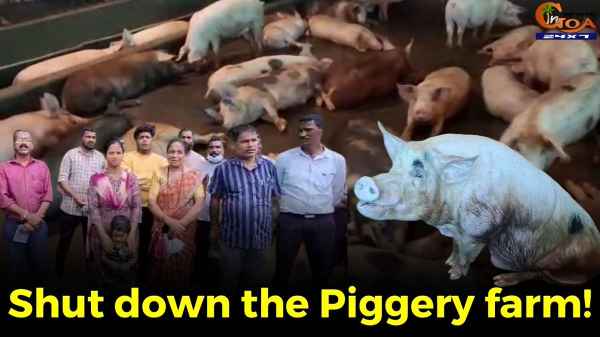 InGoa24x7's tweet photo. #Shutdown the Piggery farm! Kalay locals allege waste from pig farm contaminates wells and nearby water bodies
WATCH: https://t.co/ayTf8BRtG1
#Goa #Goanews #Piggeryfarm #waste https://t.co/0mSTQTcq8W