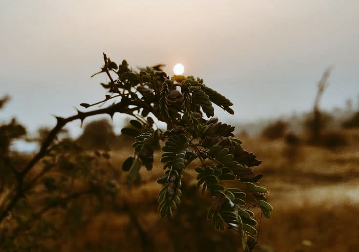 Shybeee6's tweet image. بہت دنوں سے ھے گو ہجر پر گُزر اوقات
مگر یہ شام زیادہ اُداس کر گئی ھے
#قومی_زبان