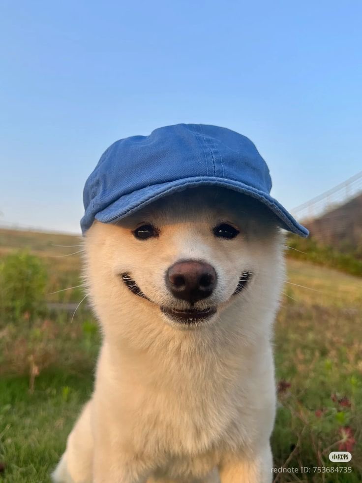 sMile 🧢 

#ShineFancon #MilePhakphum <a href="/milephakphum/">mile phakphum</a>