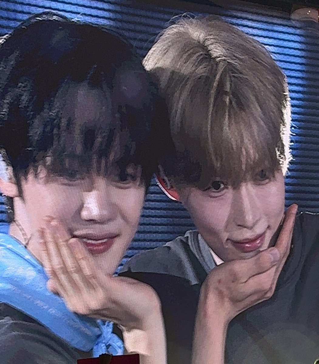 앙나좋아