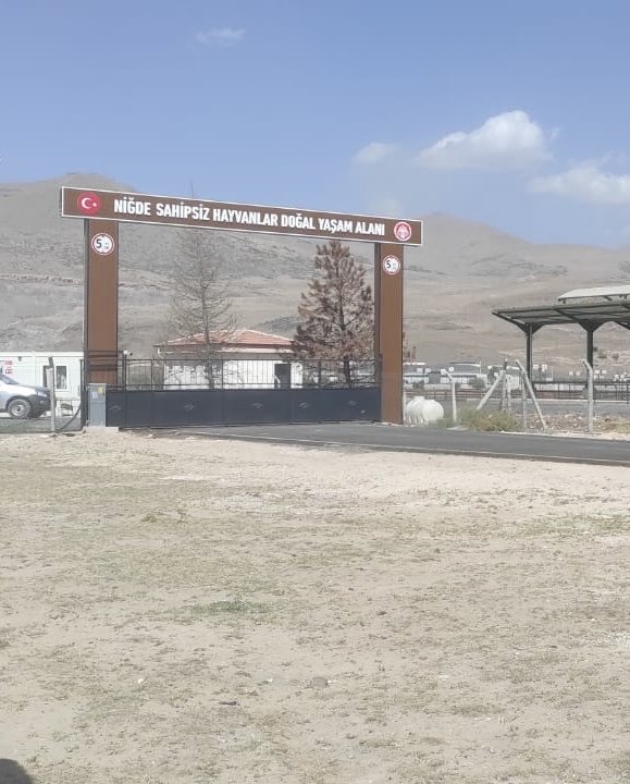 Bugün bir vatandaş Niğde'den geçerken "geçiyorken tüm barınakları da gezeyim, nasıl olsa 4 Ekim" demiş.

Niğde Belediye barınağına girmiş. Niğde Bor barınağına girmiş. <a href="/NigdeValiligi/">T.C. Niğde Valiliği</a> 'nin Bor'da açtığı, fotoğrafta gördüğünüz alana girememiş. 

Söylenen şu "ziyaretçi girişleri