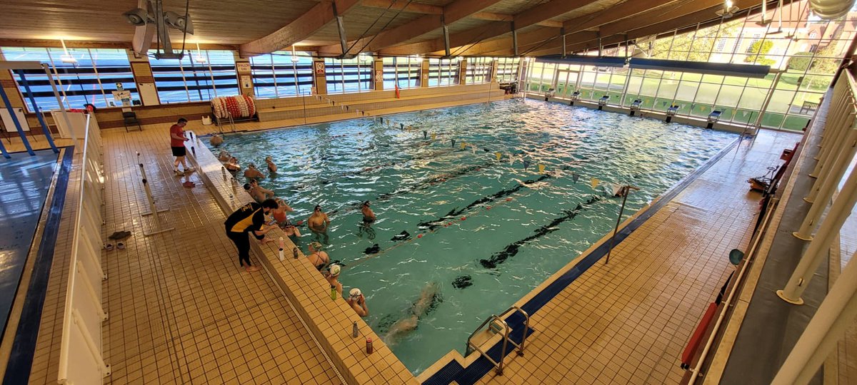 Swim England Hertfordshire (Swim Herts) tweet media