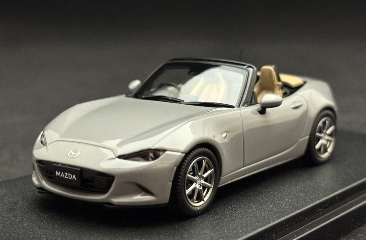 果てしなく遠く感じたけど無事GET
ついでに1/43も