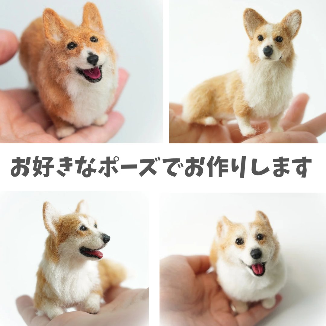 ちまっとコーギー (@chimatto_corgi) / Posts / X