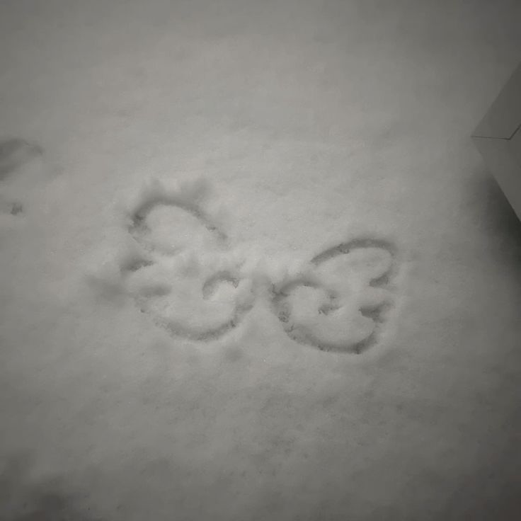 ꒰১ 세계 천사의 날 ໒꒱