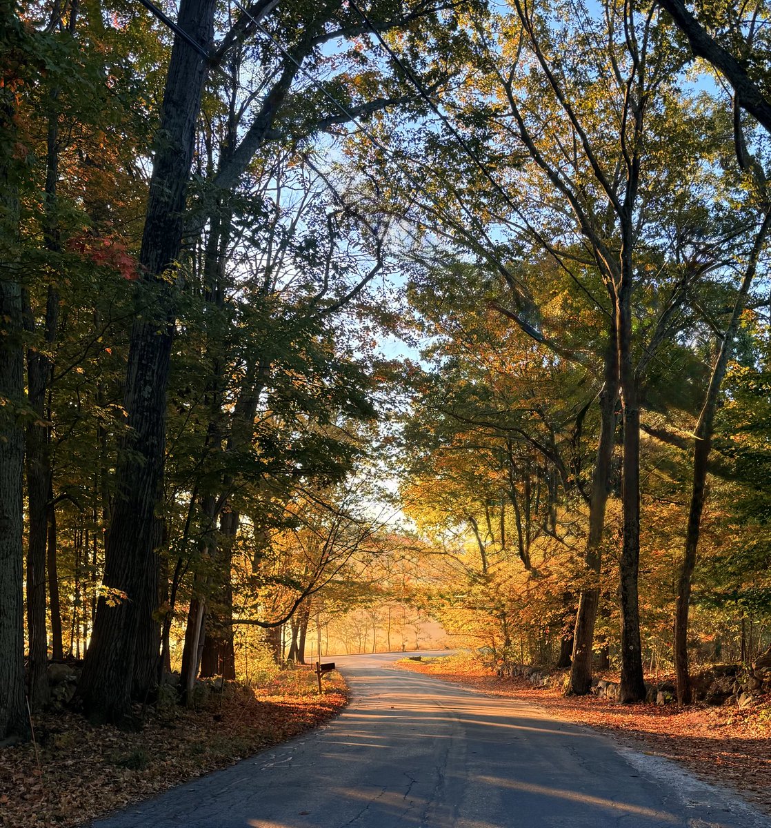 Good Saturday morning all you empty petrol stations!