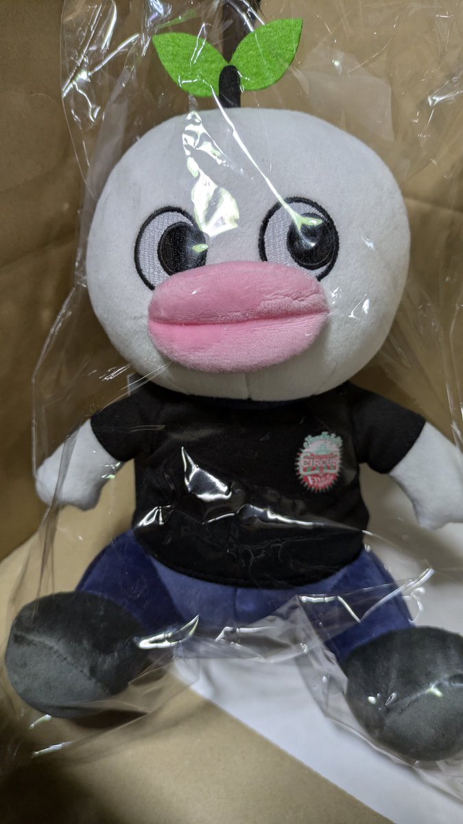 みやちゃん tweet media