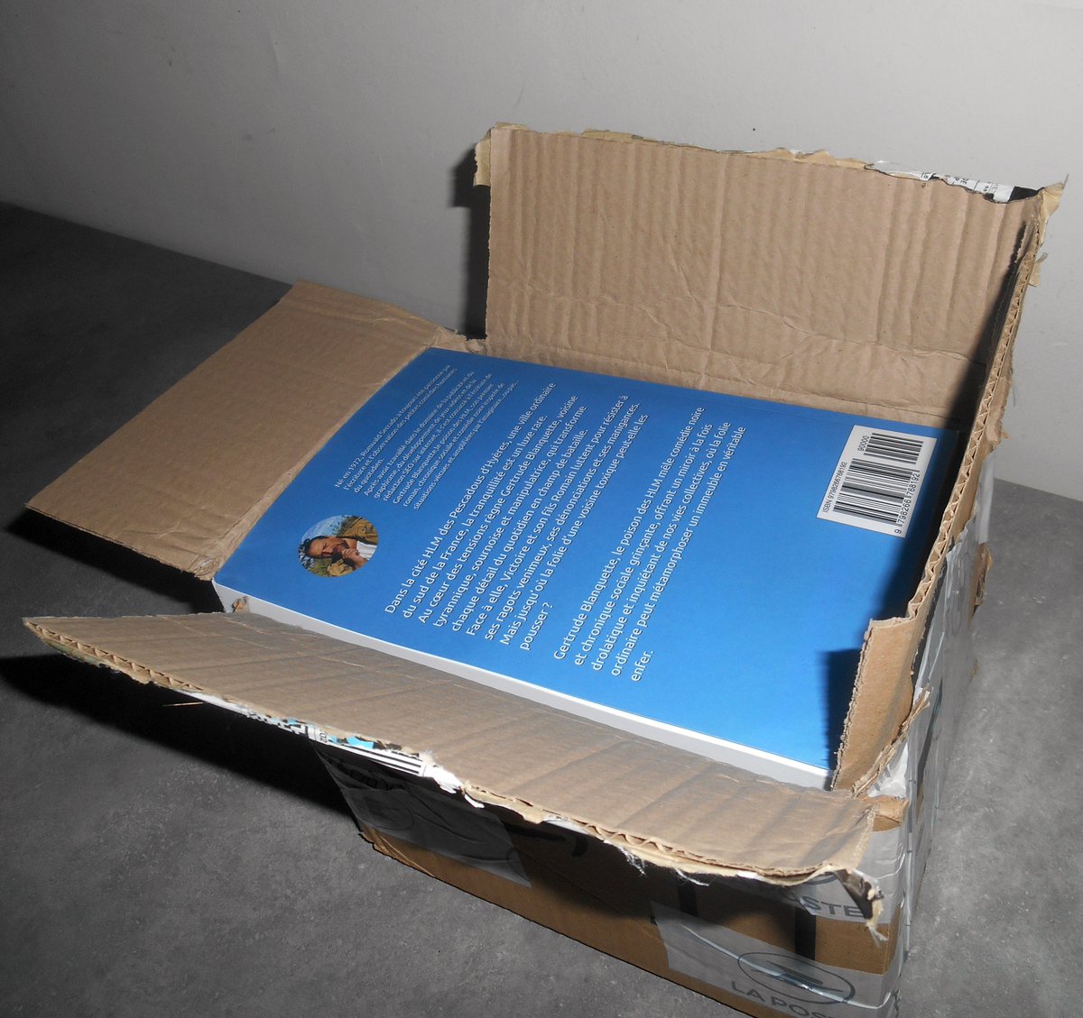 Romuald Serrado (compte auteur-romancier) tweet media