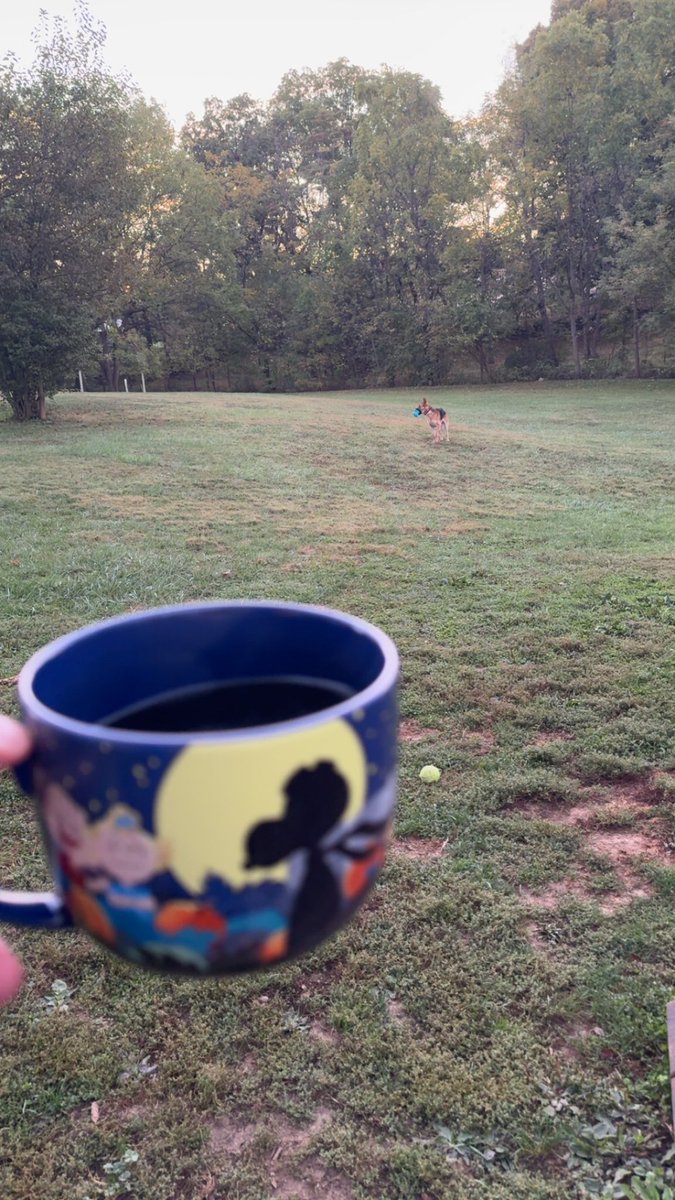 Kyle Rutledge, MS, MHA, AT, ATC tweet media