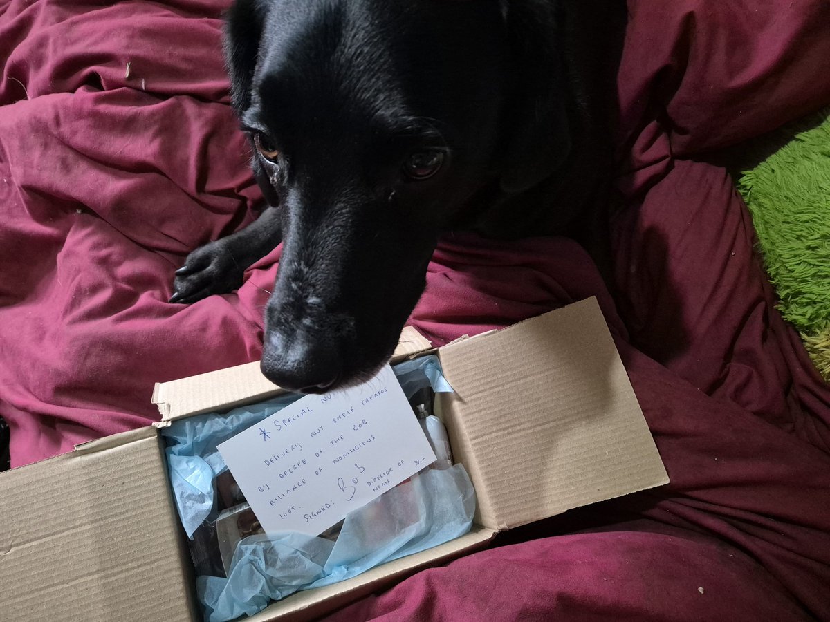 SockDog, Dogue CoverDog tweet media