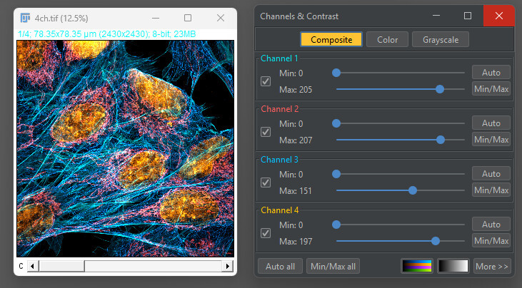 Kevin Terretaz tweet media