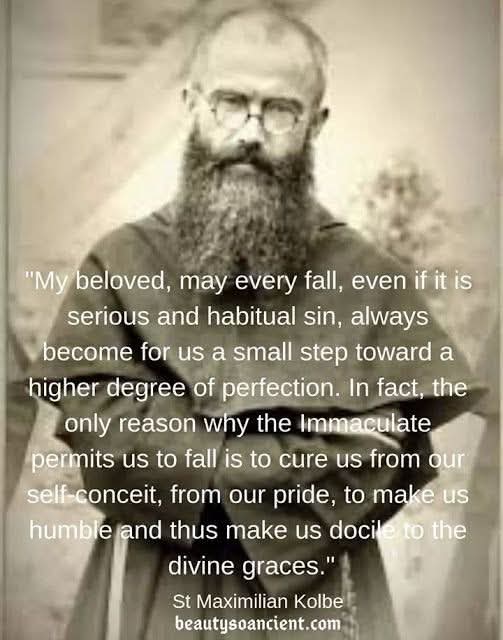 Daily reminder to go to confession and repent of your sins before it's too late. You have today to repent. Every day after, every moment even, is an example of God's great mercy that allows you more time. You are not measured by your failings. What counts is that you get back up.