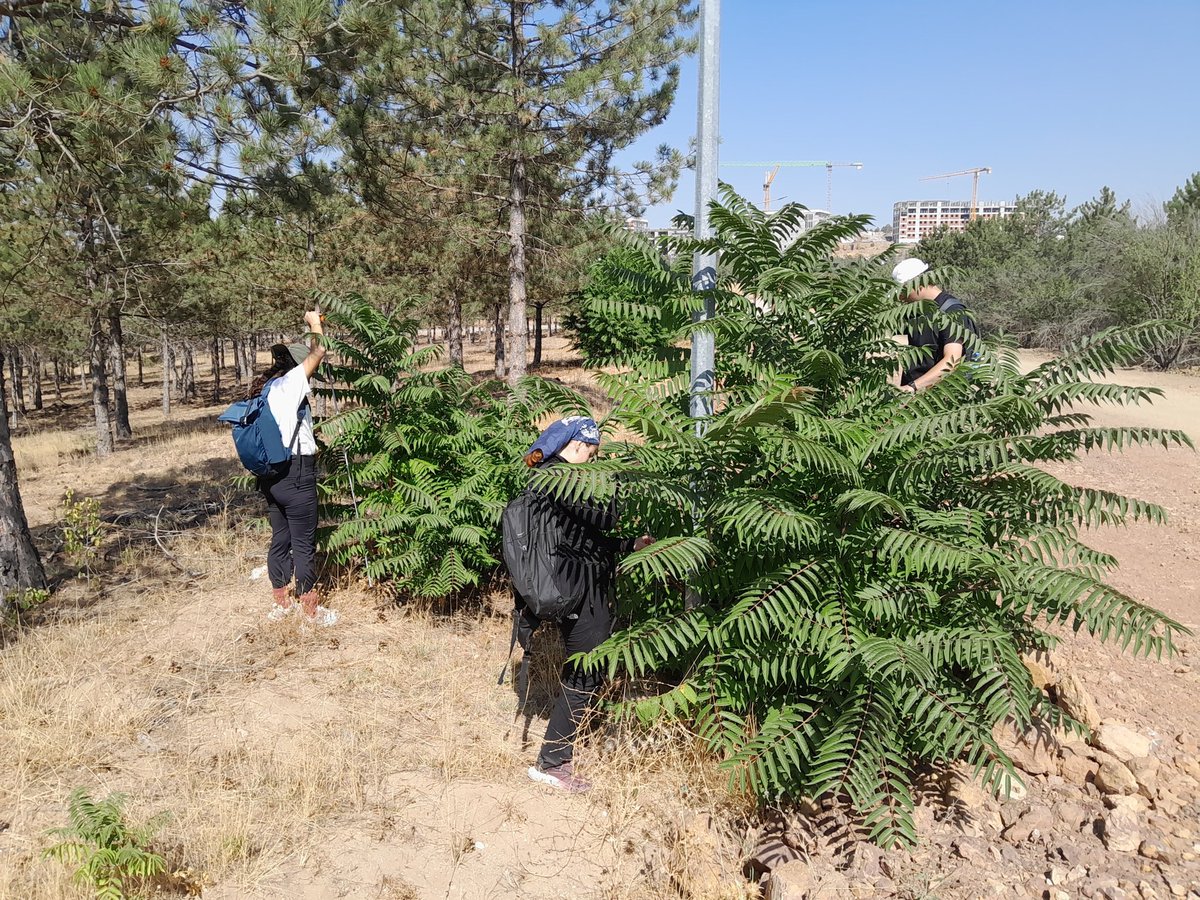 Functional Ecology Lab. tweet media