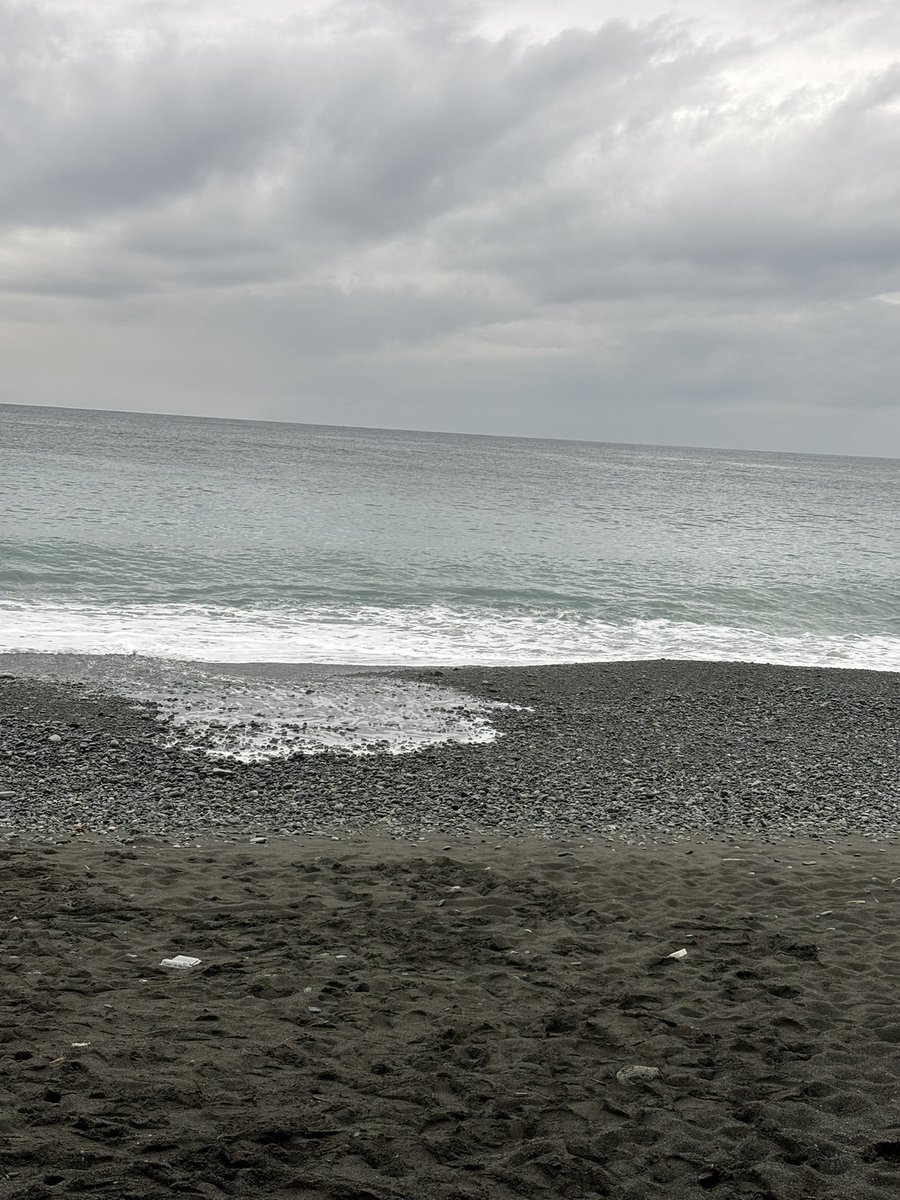 併せめちゃ楽しかったです！！！これは激荒れの海🌊🌊🌊