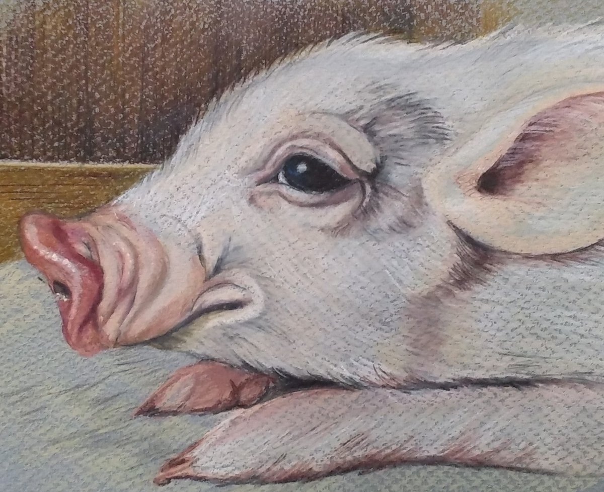 みみずみみ (@YW5ROfmAAoCExjG) / Posts / X