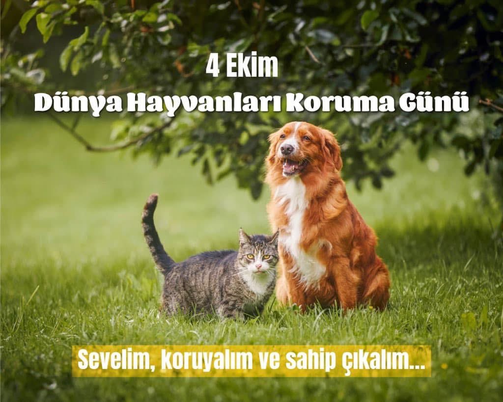izmircityyy's tweet photo. "Hayvanlar için yaptıklarımın yetersiz olduğunu düşündüğümde, Stephen Rykwalder' in şu sözü aklıma geliyor :Tüm hayvanları kurtaramasam da, hiçbirinin acı çekme sebebi ben olmayacağım."#HayvanlarıKorumaGünü https://t.co/mlayQbvfmX