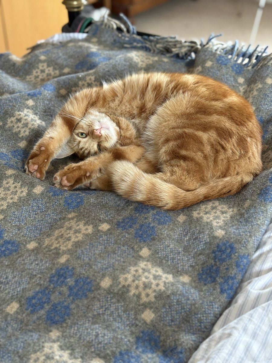 jo_thomas01's tweet image. Twm says, it’s a day for staying inside, turning on the @AGA_Official after its summer break and making #spagbol with buttery garlic bread. #Inmykitchen #Atmytable #Bythesea #Pembs #Familysupper #Autumnvibes