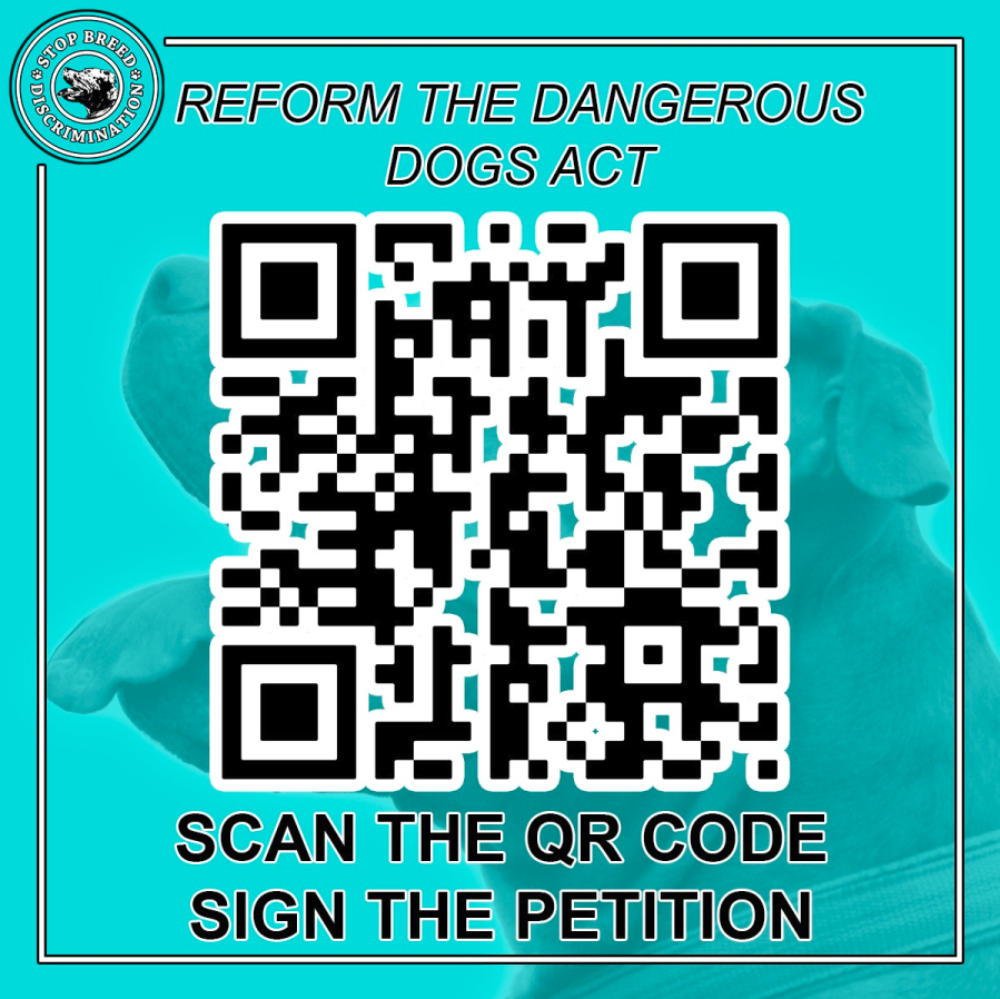 🇬🇧Bull Breed Forum🇬🇧 tweet media