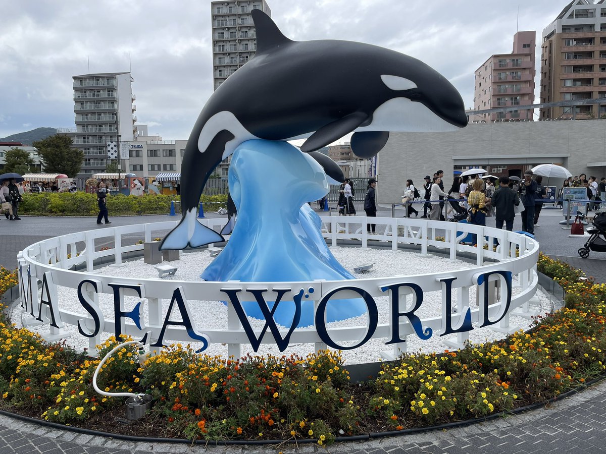 mc1019x's tweet photo. 須磨シーワールド🐬
やっと行けた！ https://t.co/X9eaB23kY8