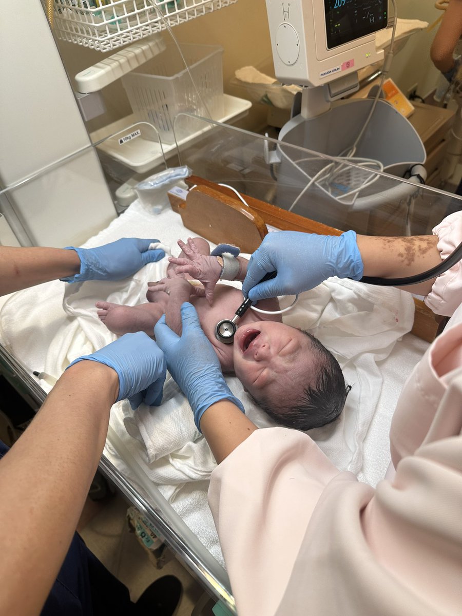 皆様にご報告があります💡

2025年10月4日
とうとうこの世界に
YAFUMI Jr.が誕生しました

なんとまさかの
ロールキャベツの日に🍀
きっと生まれながらの
エンターティナーなのでしょう✨

名前は海依来（ウィル）
にしました

本当に頑張ってくれた妻に
最大級の感謝を

海依来、この世界は