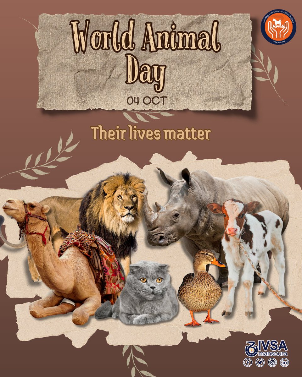في اليوم العالمي للحيوان الموافق 4 أكتوبر 🐾 دعونا نتوقف مع أنفسنا ونتأمل:
ما هو دورنا ومسؤوليتنا تجاه الحيوان؟ وما أهميتهم لنا؟
إن كان لديك حيوان أليف فاعتنِ بصحته وأعطه تطعيماته كاملة 💉.
رسالتنا أن نكون صوت من لا صوت له 🐾🕊️.

#World_Animal_Day
#SCAW
#IVSA_Mansoura
#IVSA_Egypt