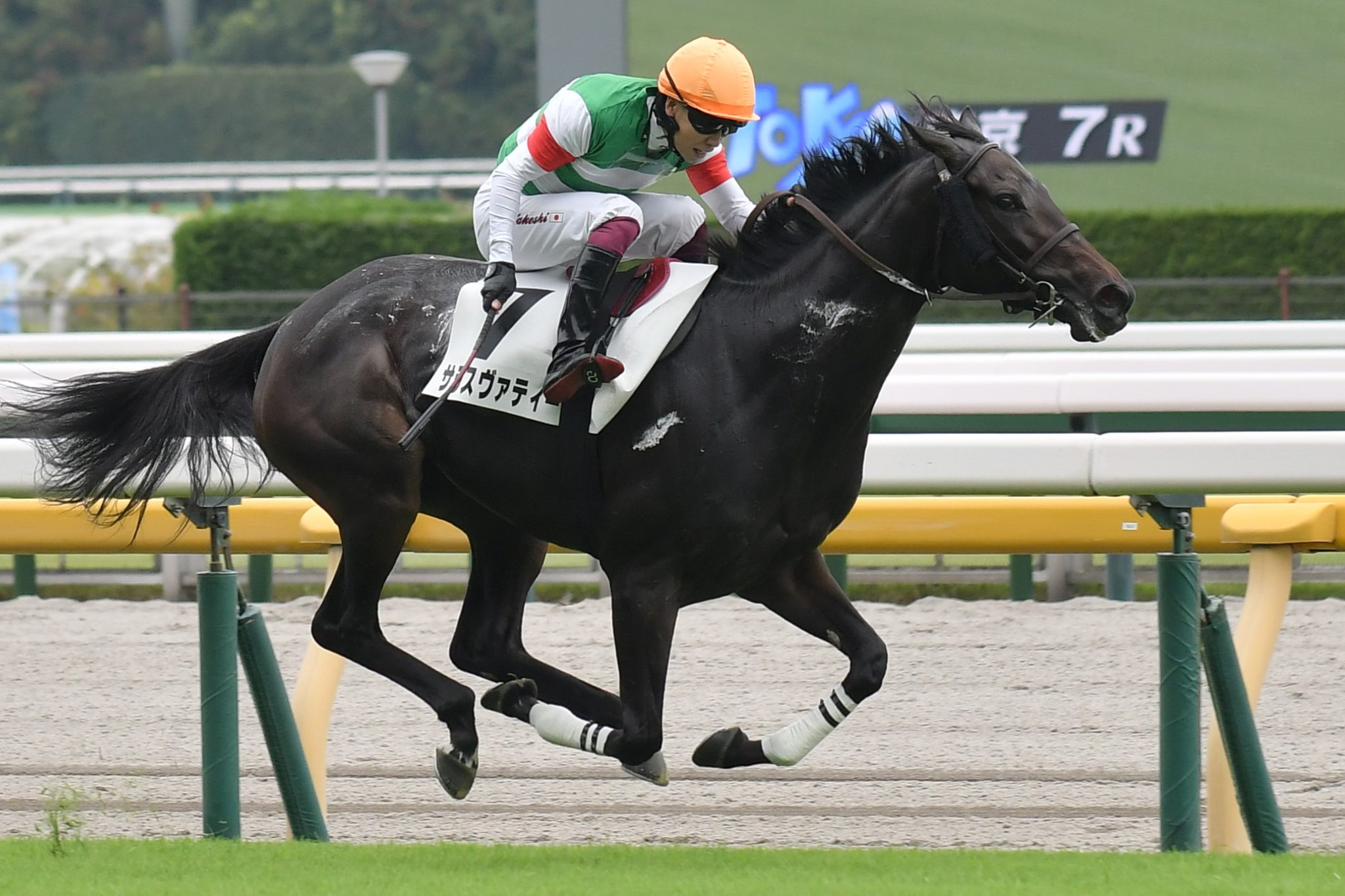 貴重❗️ 競馬 グラスワンダー 99年有馬記念 的場騎手 直筆サイン入り