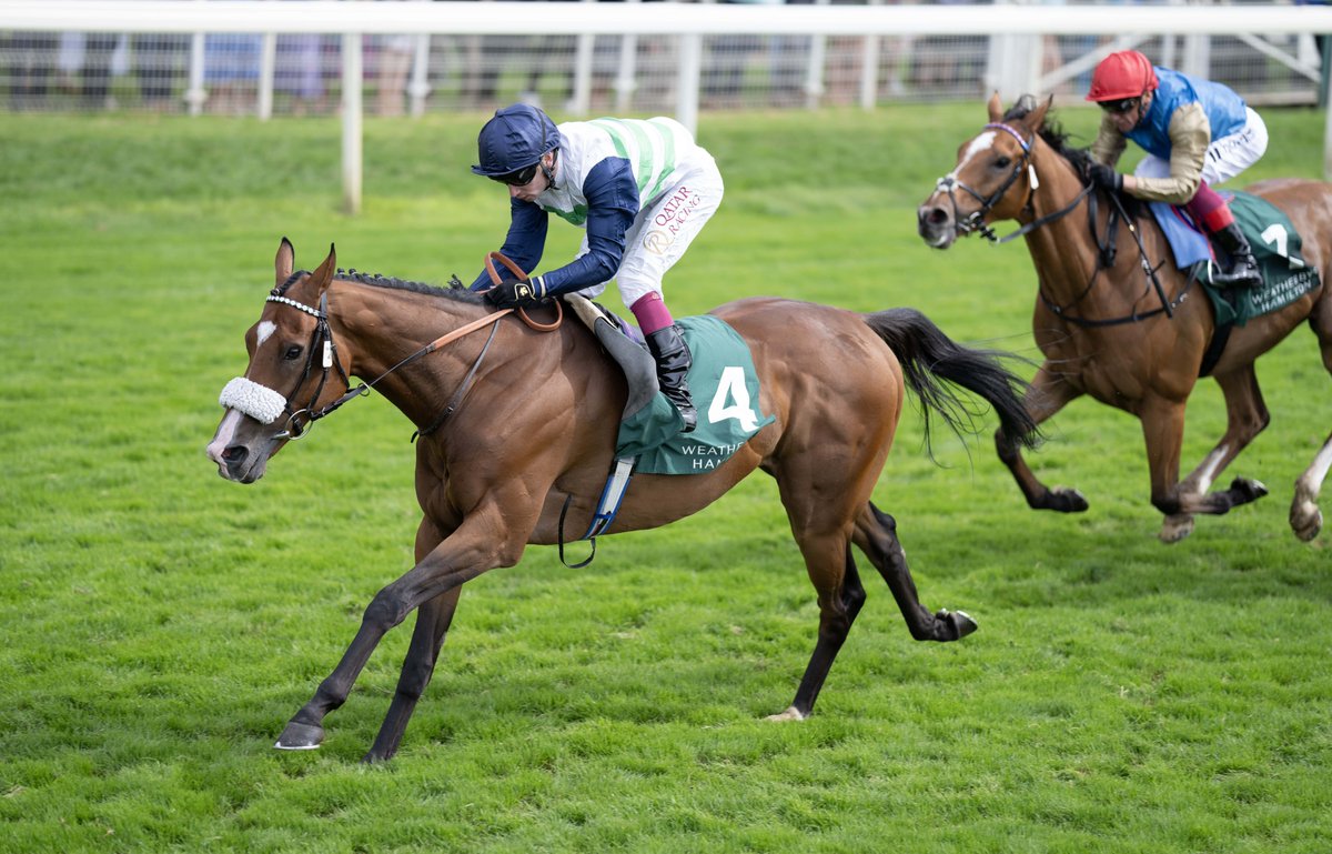 Happy retirement, Coltrane 👏