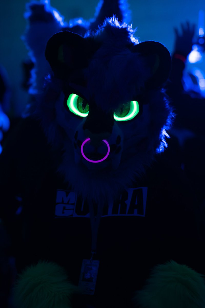 🌈✨ Ur local sparkledog Shiko ✨🌈 tweet media